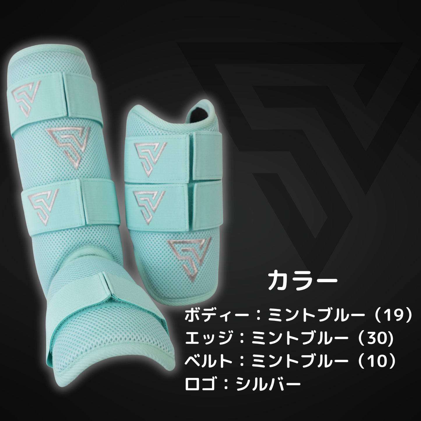 ※即納品※ 【ORDER PROTECTOR】 MINT BLUE × SILVER