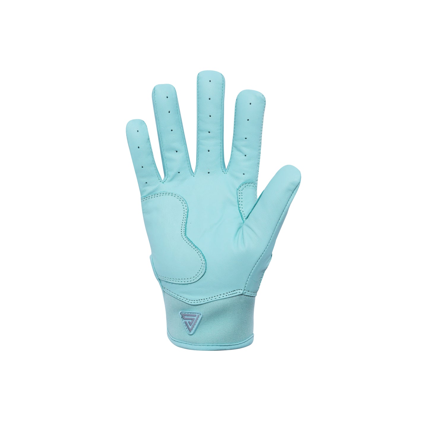 プレミアムモデル バッティンググローブ【MINT BLUE】