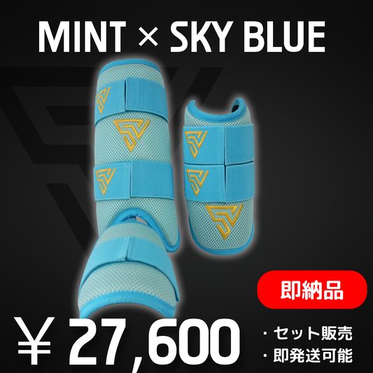 ※即納品※ 【ORDER PROTECTOR】 MINT × BLUE