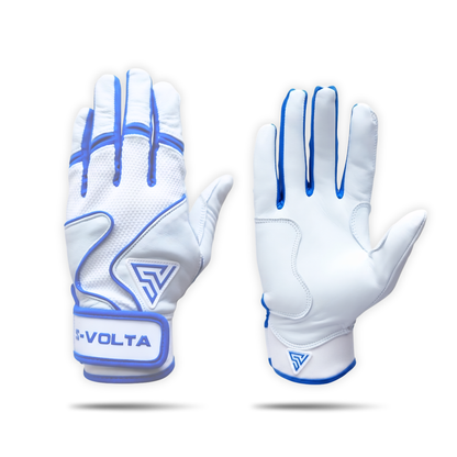 プレミアムモデル バッティンググローブ【WHITE × BLUE】
