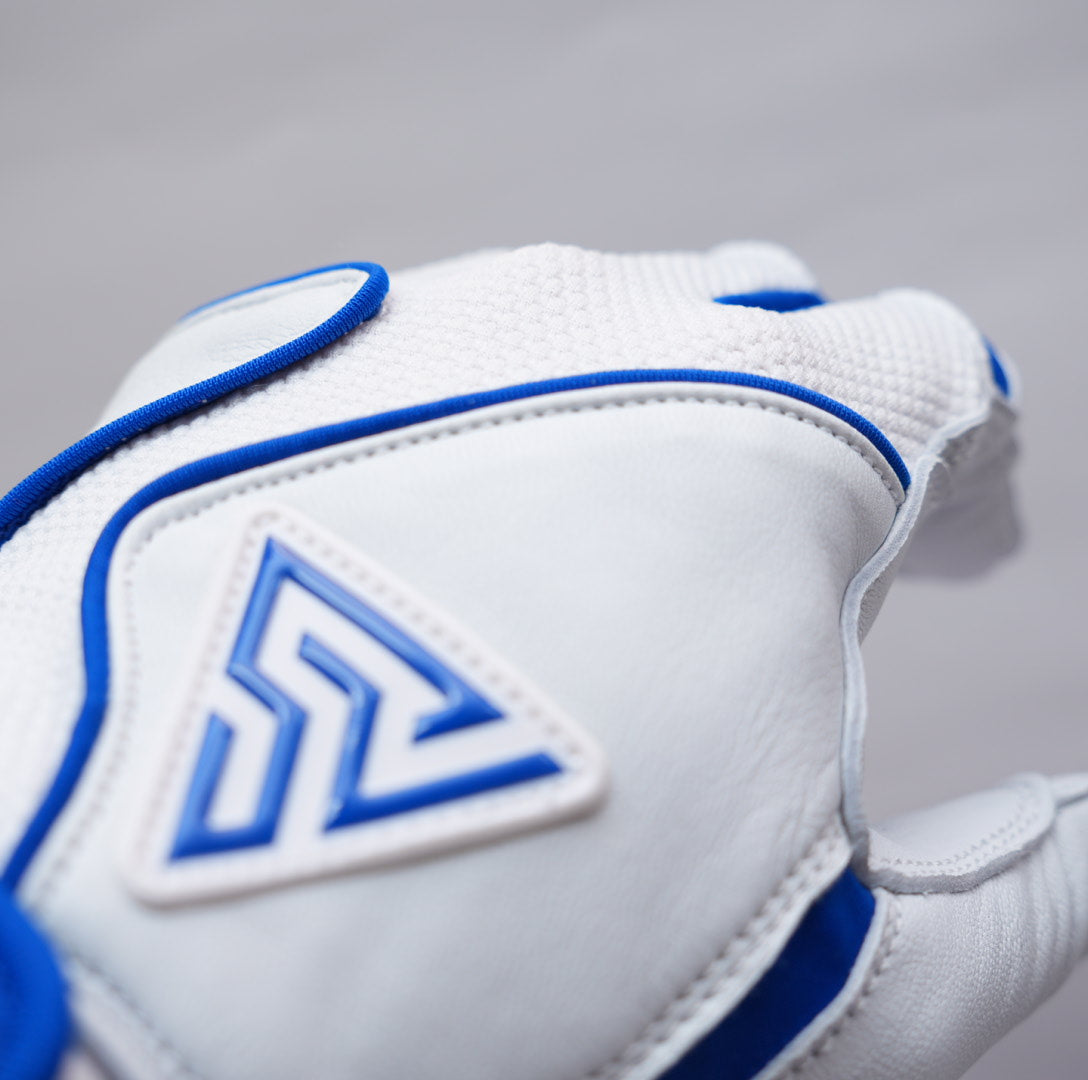 プレミアムモデル バッティンググローブ【WHITE × BLUE】