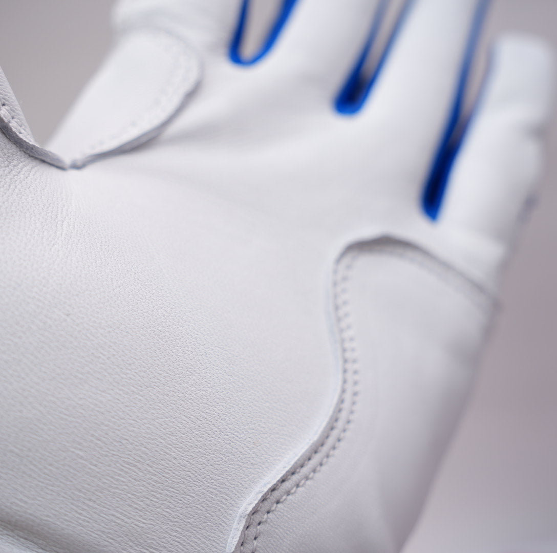 プレミアムモデル バッティンググローブ【WHITE × BLUE】