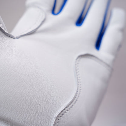 プレミアムモデル バッティンググローブ【WHITE × BLUE】