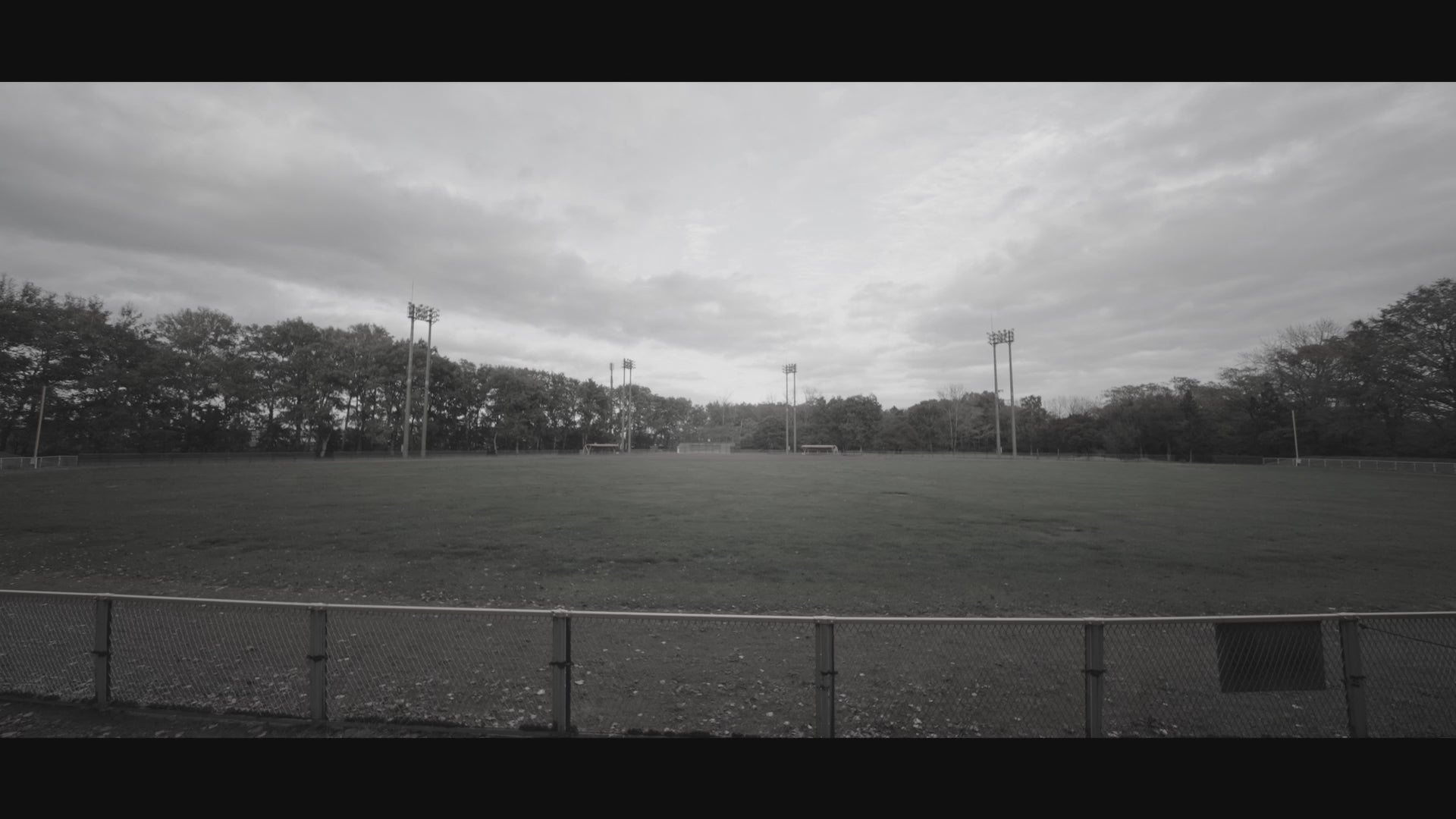 動画を読み込む: 